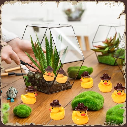 Rotatingpals 50 Pcs Mini Cowboy Ducks Resin Figurines with Hat for Decor by Rotatingpals - Used condition - Image 6