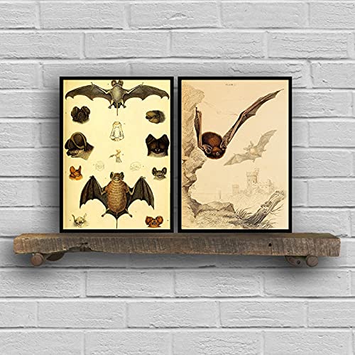 Toile chauve-souris style dessins anciens de maison art decor raffine pour grand salon
