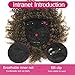 Matthia Brown Curly Hair Wiglets with Bangs for Thinning Hair, Synthetic Short Afro Kinky Curly Clip in Hair Pieces for Black Women (1B/27#)