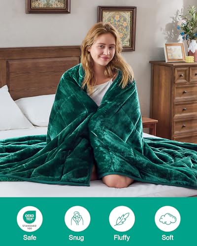 Super Fuzzy Soft Sherpa Fleece Weighted Blanket, 15 lbs Dual Sided Fluffy Heavy Weighted Blankets for Adults - No Bunching with Double Layers of Soft Inner Lining (48"x 72", 15 Pounds)