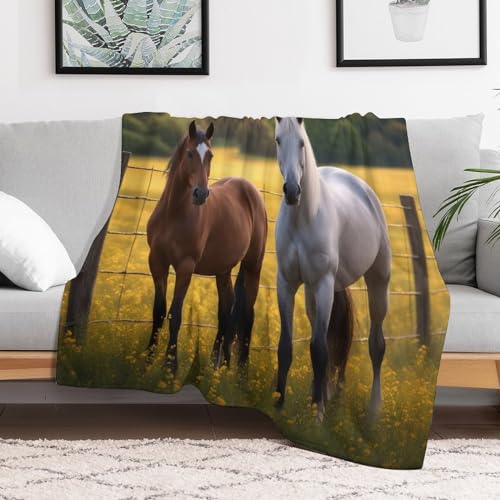 Couvertures en cheval flannel couverture douce lit canapé