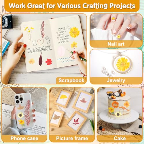Image of Real Dried Pressed Flowers for Crafts, 100+ PCS Fall Dried Flowers Leaves Nature Flowers Florals Set with Tweezer for Resin Jewelry Making Thanksgiving DIY Candle Scrapbooking Gift (Orange, Yellow)