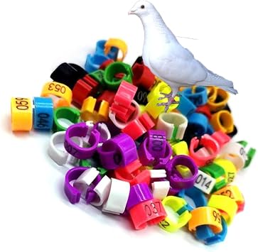 Pigeon Anklet Pigeon Leg Ring Pigeon Leg Band Chicken Mark Chicken Ankle Poultry Leg Band Bird Foot Ring PlasticMixed Colors No. 001-1000 Mixed Color 001-100 10mm0.39in