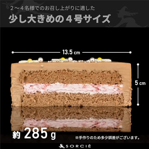 魔法洋菓子店ソルシエ クリスマスケーキ センイルケーキ チョコレート 4号 直径13.5cm の商品画像 2