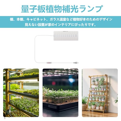 PAVIKE 植物育成ライト の商品画像 2