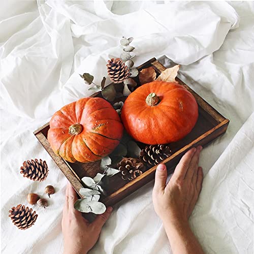 Qhzhang Natural Bulk Pine Cones,Christmas Tree Fall Ornaments,Christmas Rustic Pinecones For Home Party Decorations-18Pcs #TOP3