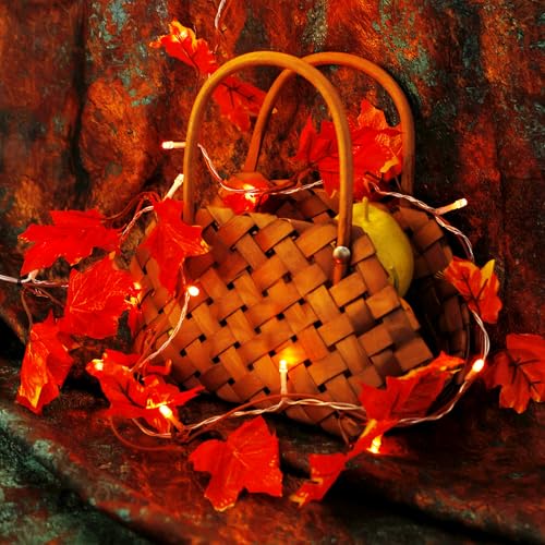 VCOKEN Thanksgiving Decorations Fall Garland with Lights, 24LED Battery Operated Thanksgiving Lights with Timer, Fall Decor for Home, Table, Mantle, Office, Outdoor, Autumn, Halloween, Yellow image 9