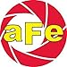 AFE 81-90006 Aries AE1 Performance Powersport Air Filter