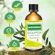 FORSYLVANEST Eukalyptus Ätherisches Öl 100ML 100% Reines Naturöl Unverdünnt für Aromatherapie, Massage, SPA, Haut-, Haar- und Nagelpflege, Bäder, DIY (Eukalyptus)
