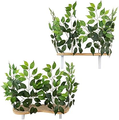 On2Pets Cat Shelves Wall-Mounted Cat Trees Cat Furniture for Climbing, Playing and Relaxing, Set of 2, Indoor Cat Shelf Made in USA… (Zen Green, Curved)