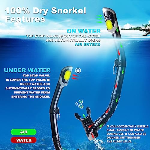 Snorkel Set Pano 3 Adult Snorkeling Gear, Professional Anti-Fog Snorkel Mask Dry Top Snorkel, Tempered Glass Scuba Diving Mask for Freediving, Snorkeling and Swimming(Black Set)