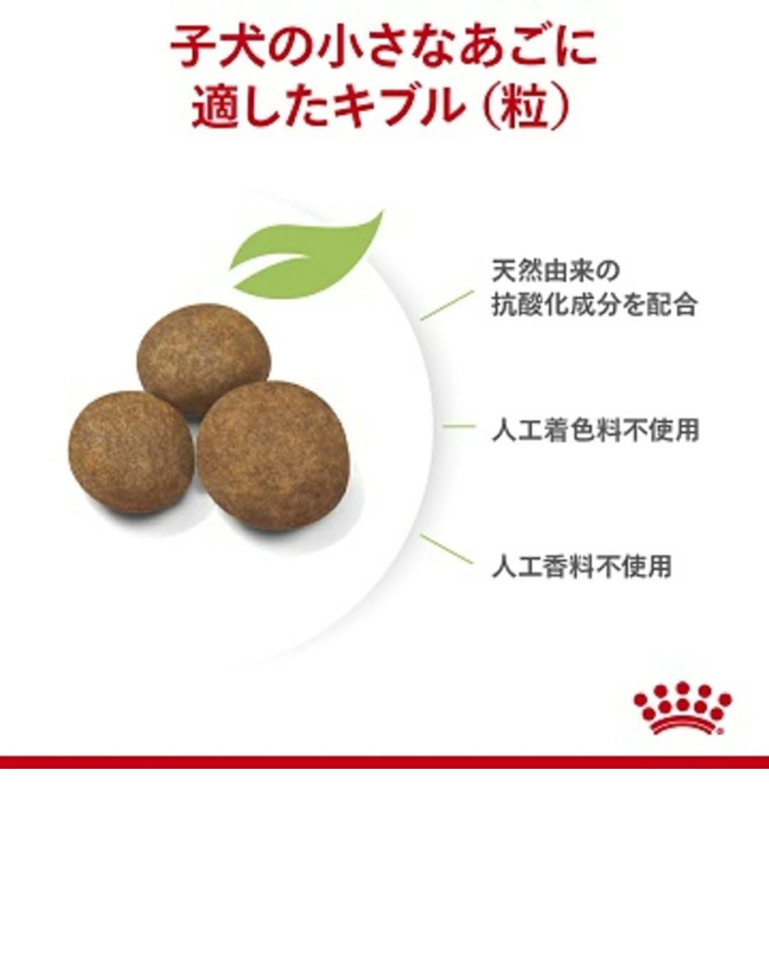 Amazon.co.jp: 【ロイヤルカナン マキシ パピー 犬用 4kg】犬用