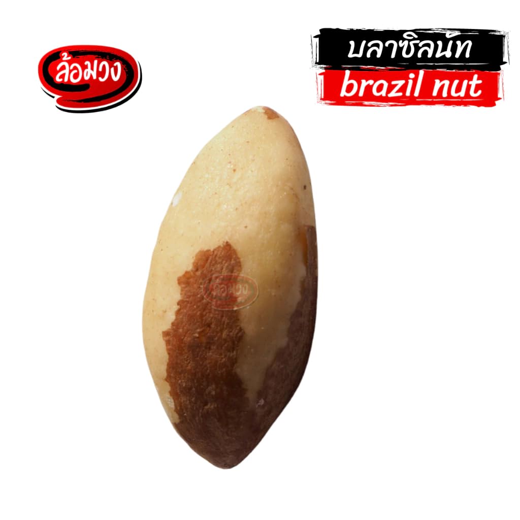ล้อมวง Dry Roasted Brazil Nuts, Oil-Free Roasted Whole Nuts, Crunchy Unsalted Snack, Resealable Pouch (500g)