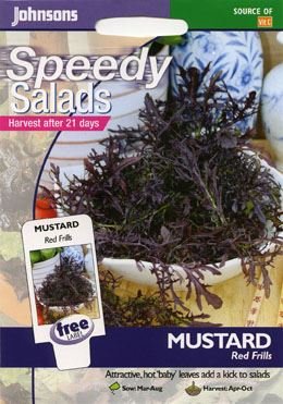 Johnsons Seeds - Pictorial Pack - Vegetable - Mustard Red Frills - 350 Seeds