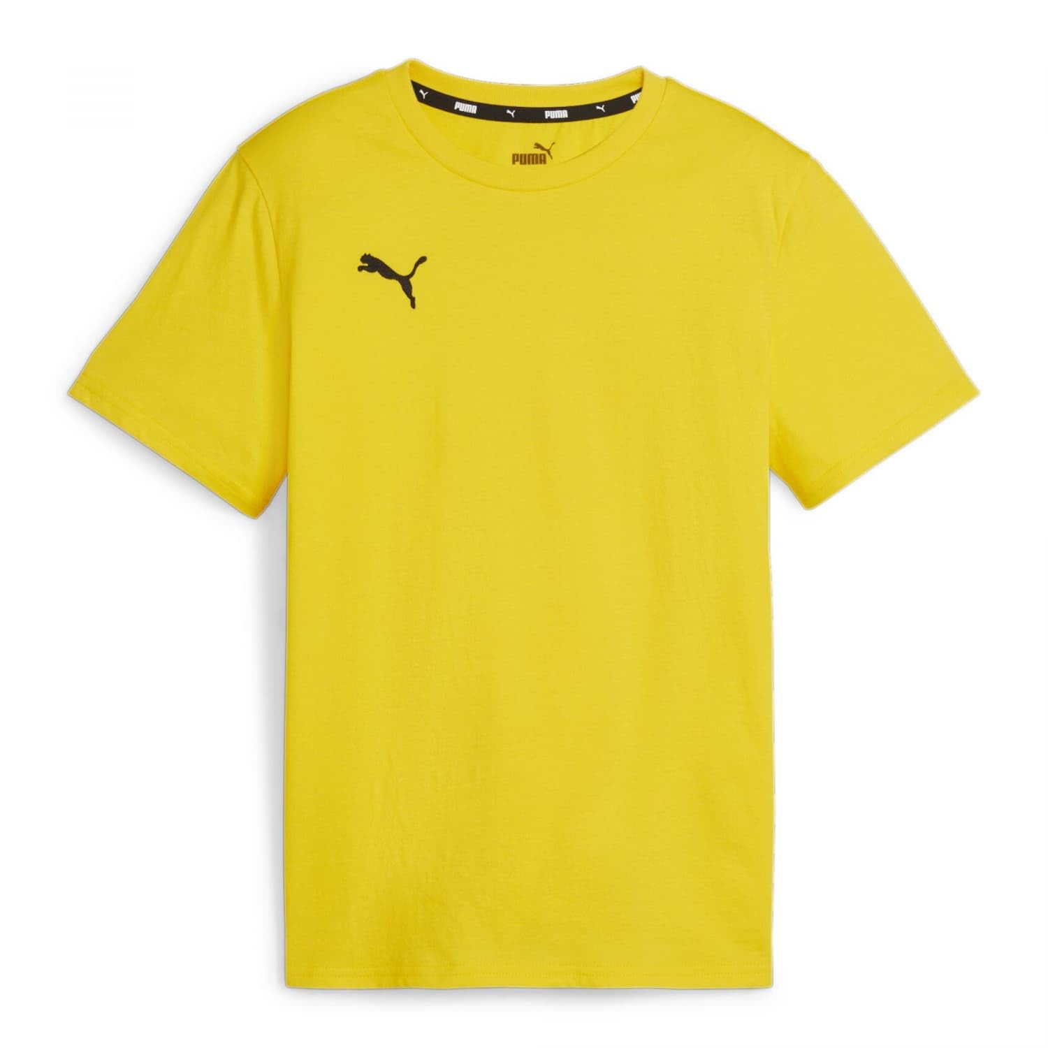 PUMA teamGOAL Casuals Tee Jr