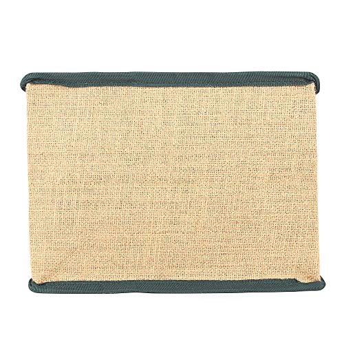 Image of DOUBLE R BAGS Unisex-Adult Laminated Jute Reusable Casual Shopping Bags Kitchen Essentials Grocery Vegetable Lunch Carry Bag With Full Handles Multi-Purpose Bag Stylish Designs (Green) Pack Of 1