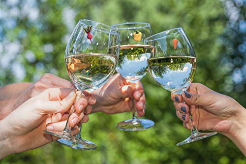 Wine Charms for Stemless Glasses - Magnetic Drink Markers - Great Gift for the Gardener