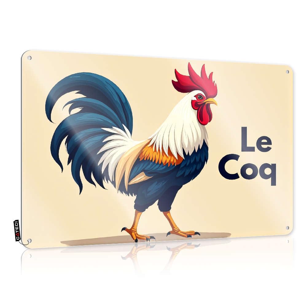 Fzfn Boys Colour Metal Wall Decoration Sarcastic Vintage Wall Art, Bedroom Accessories Retro Accessories Tin Sign For Home Bar | 8X12 Inch A Colorful Rooster With Le Coq Written Beside It(20X30cm)
