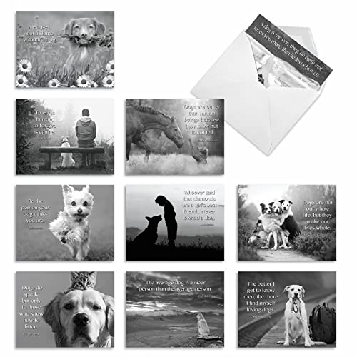 The Best Card Company - 10 Assorted Blank All Occasions Notecards Boxed Set 4 x 5.12 Inch w/Envelopes Dogs Inspirational Quote, Men, Women (10 Designs, 1 Each) - Canine Comments M1623BN-NB