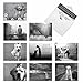 M1623BN Canine Comments: 10 Assorted Blank All-Occasion Note Cards Dogs Related Quotes Paired With Pictures In Black And White w/White Envelopes.