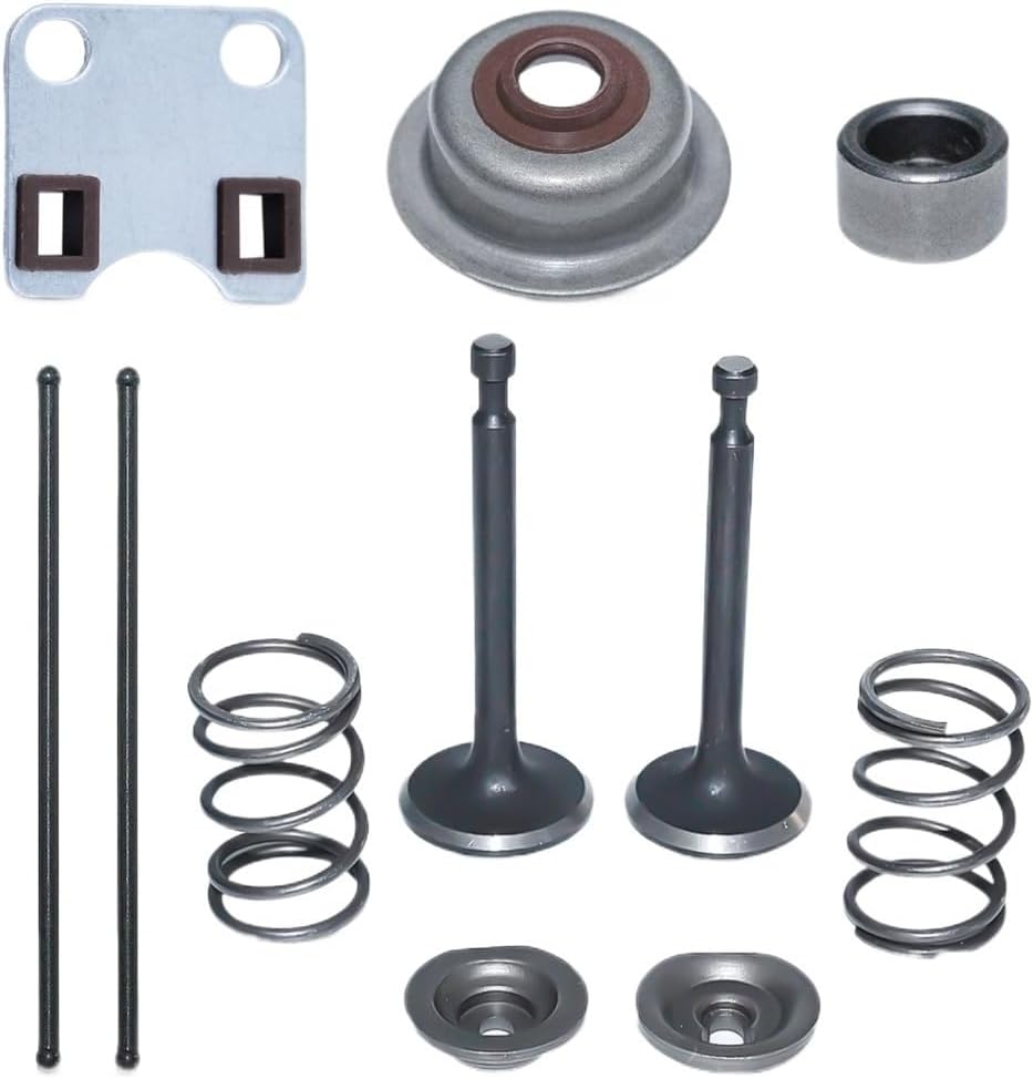 Lawn Mower Intake and Valve Fixing Spring Kit Suitable Fit for GX160 GX200 5.5HP 6