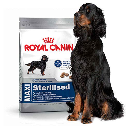 ROYAL CANIN (ROYBJ) Hundefutter Maxi Sterilised, 1er Pack (1 x 3 kg)