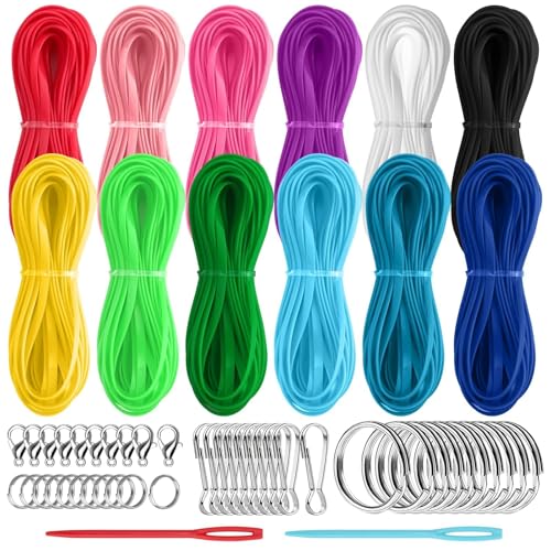 Emact 12 Solid Color Plastic Lanyard String Kit 48 pcs Hardware & 2 Needles for Bracelet Weaving Keychain Craft Jewelry Making Friendship DIY Supplies Gimp String Boondoggle Lacing Cord