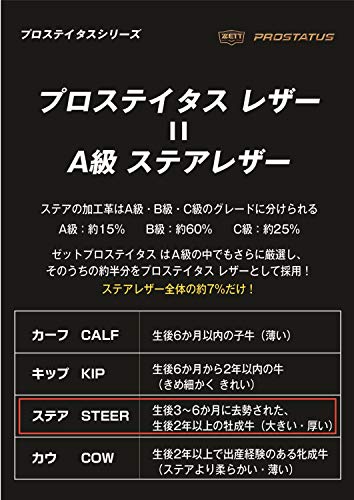 ゼット(ZETT) 硬式野球 グラブ(グローブ) プロステイタス ブラック 日本製 BPROG611 6枚目