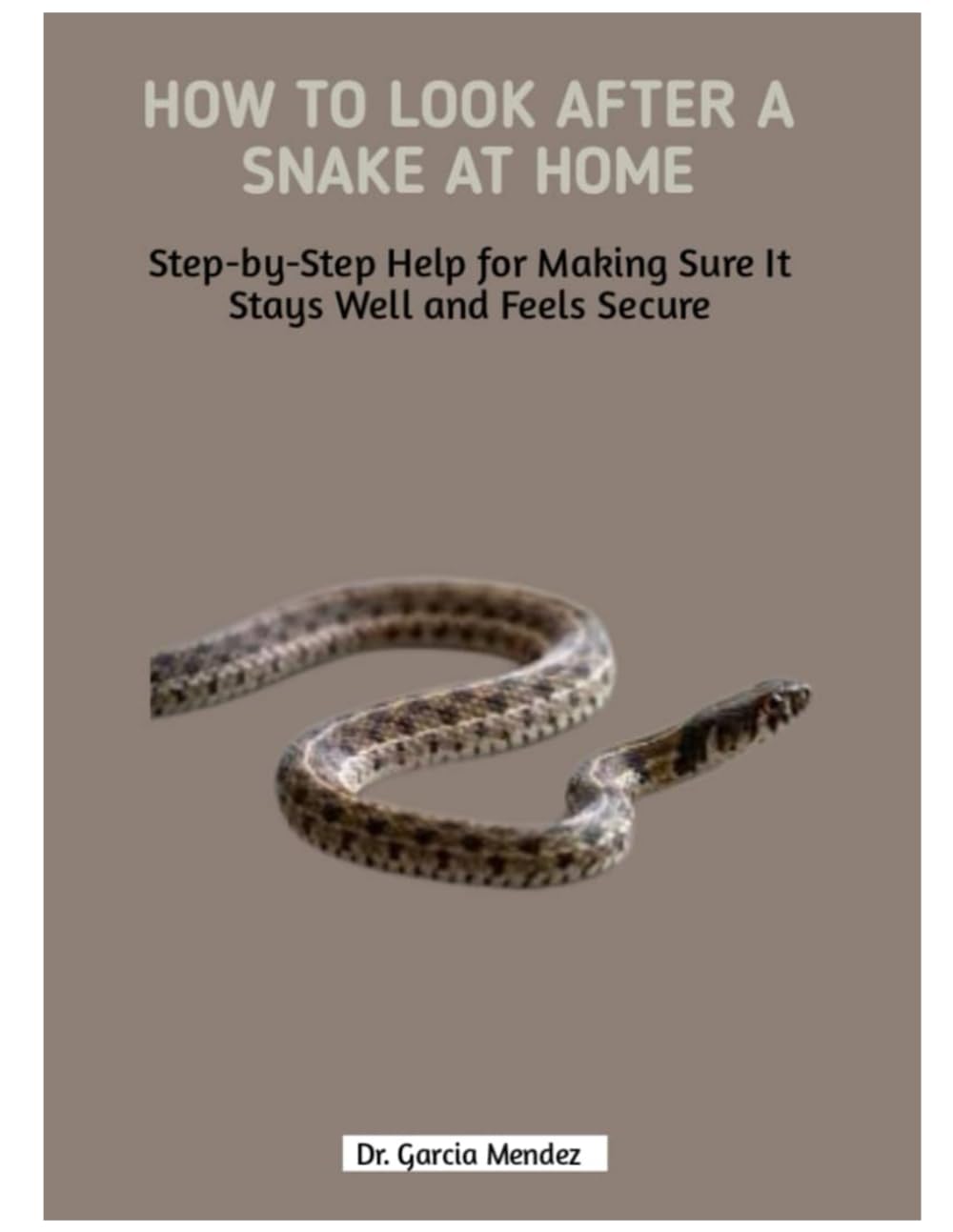 How to Look After a Snake at Home: Step-by-Step Help for Making Sure It Stays Well and Feels Secure