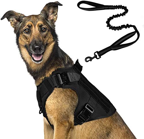 rabbitgoo Tactical Dog Harness and Bungee Dog Leash Set for Large Medium Dogs, Molle Vest for Service & Training Military Dogs Adjustable Training Hunting Dog Tactical Vest, Black,M,Chest (25.4-36.0”)
