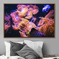 Framed Canvas Wall Art Deep Under Group Jellyfish Marine Life Multicolor Photography Realism Tropical Ultra Whimsical - 16x24 inches