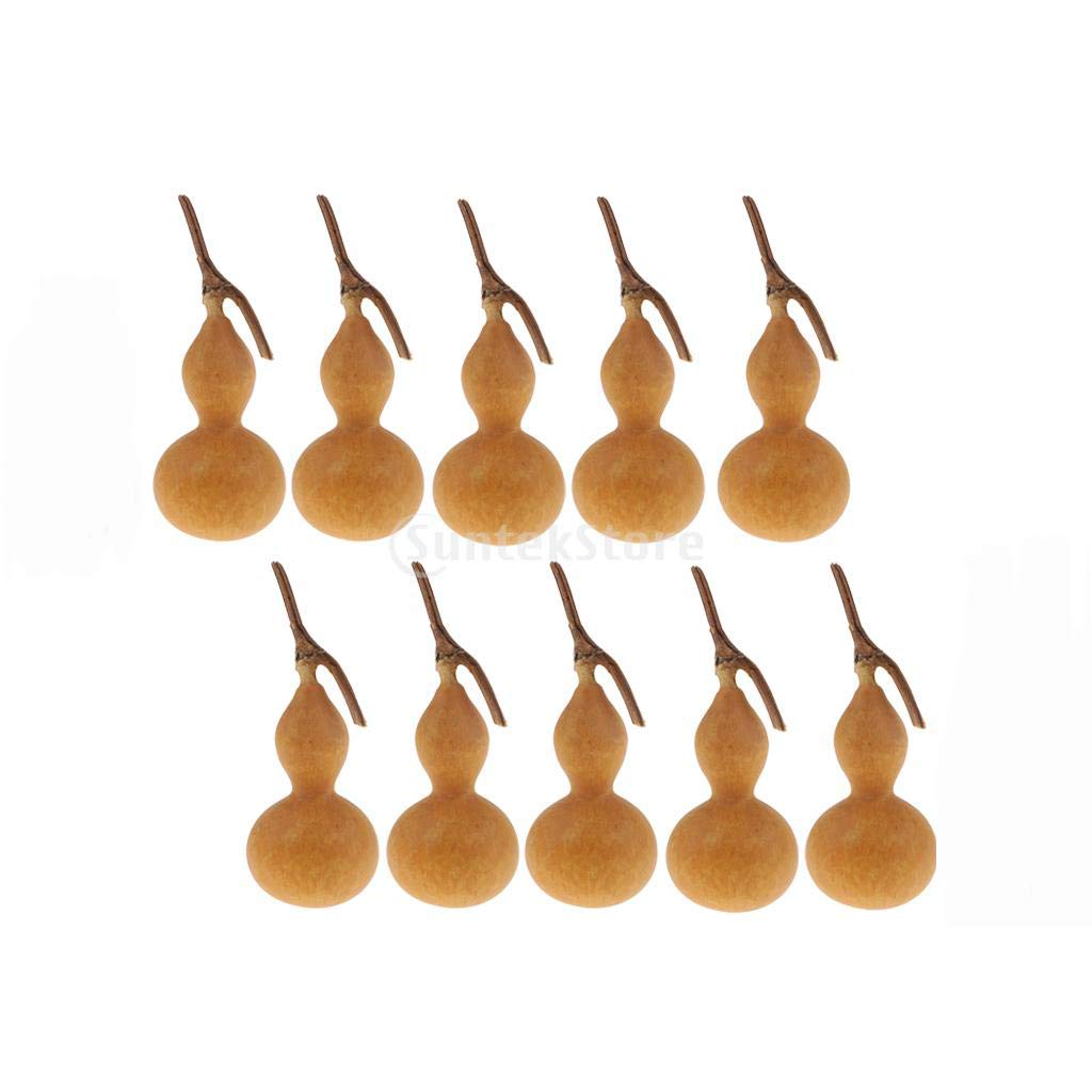 10 Natural Dried Gourd Fruit Christmas Home Table Accents Decor Ornament DIY