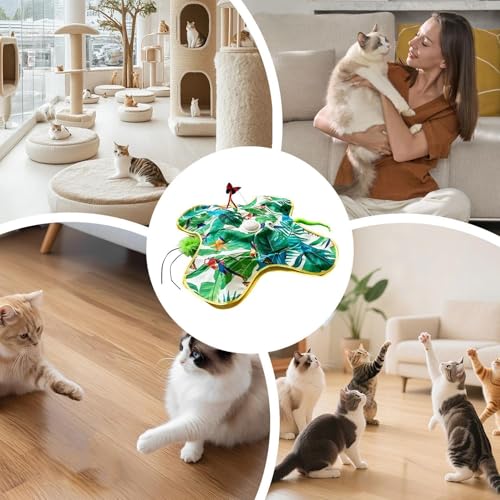 Jouet interactif pour chaton et exercice électronique de stimulateur félin intérieur
