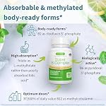 Igennus Super B-Complex Methylated B Vitamins, All Day Nutrient Delivery, Clean Label, MTHFR Supplement with Methylfolate & B12 Methylcobalamin, Vegan, Lab Verified, 60 Small Tablets - Image 3