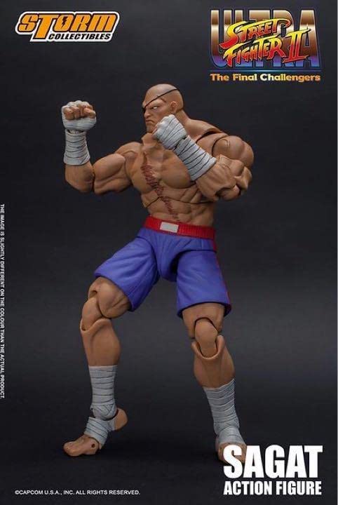 Amazon.co.jp: Storm CollectiblesストリートファイターII サガット 1