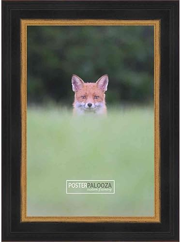 Poster Palooza 18x24 Contemporary Black Complete Wood Picture Frame with UV Acrylic Plexiglass, Foam Board Backing & Hardware Included