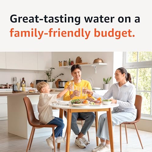 Image of Amazon Basics Enhanced Replacement Water Filters for Water Pitchers, BPA-Free, WQA & NSF Certified, Compatible with Brita Water Pitchers & Drinking Water Filter Systems, 6 Month Filter Supply, 3-Pack