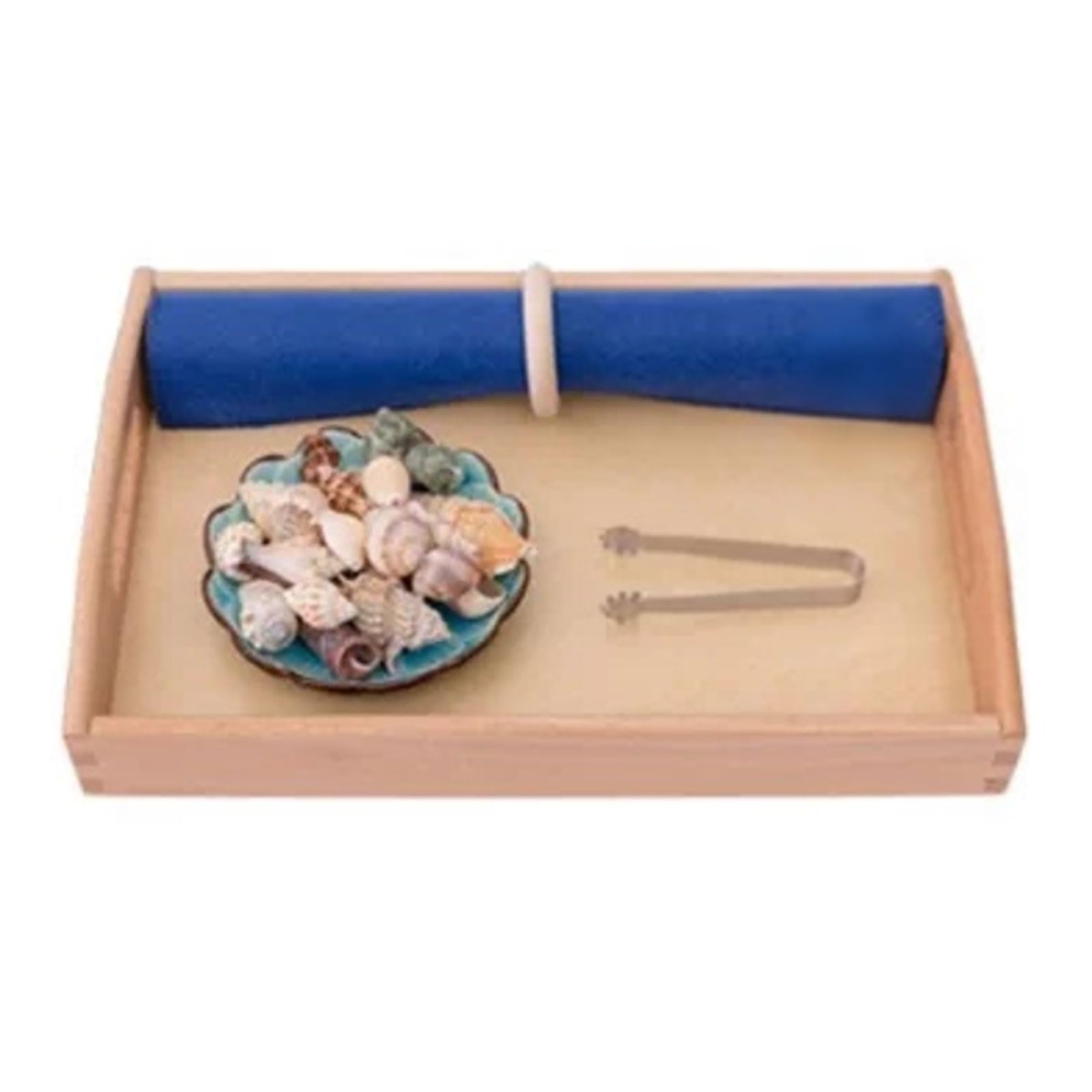 ttnmrc Montessori Seashell & Herbal Seed Matching Sensory Toy