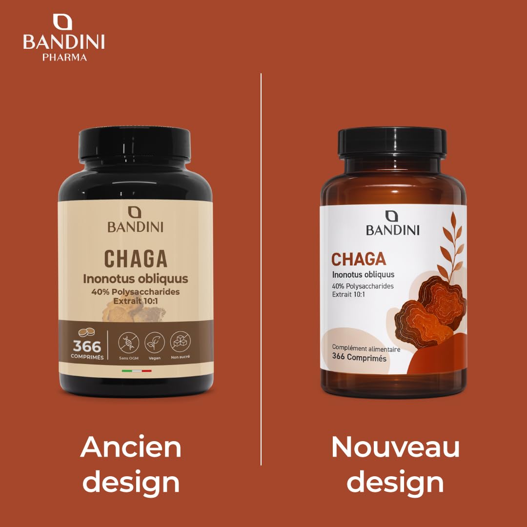 Bandini® Chaga champignon 366 comprimés | Polypore oblique - Inonotus Obliquus | Complément riche en antioxydants et polyphénols | Pour l'équilibre quotidien | Jusqu'à 1000mg par dose - Chaga Mushroom