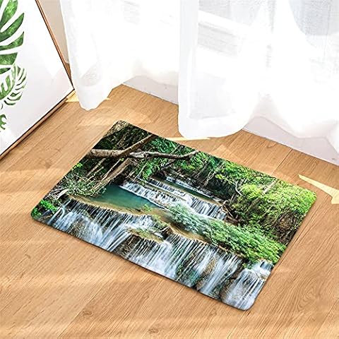 Tapis Botanique Cactus Sticker Superb Cover
