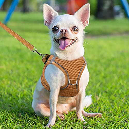 Joytale Step in Dog Harness,Soft Mesh Reflective Breathable Vest Harnesses,Easy Walk Harness with Safety Buckle for Puppies and Extra Small Dogs,XS,Brown - Image 2