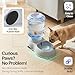 Flexzion Automatic Dog Water Bowl Dispenser for Cat Pet (1 Gallon Dispener Water Jug) - Gravity Feeder Auto Replenish Waterer Drinking Bowl Fountain Bottle Dish Stand