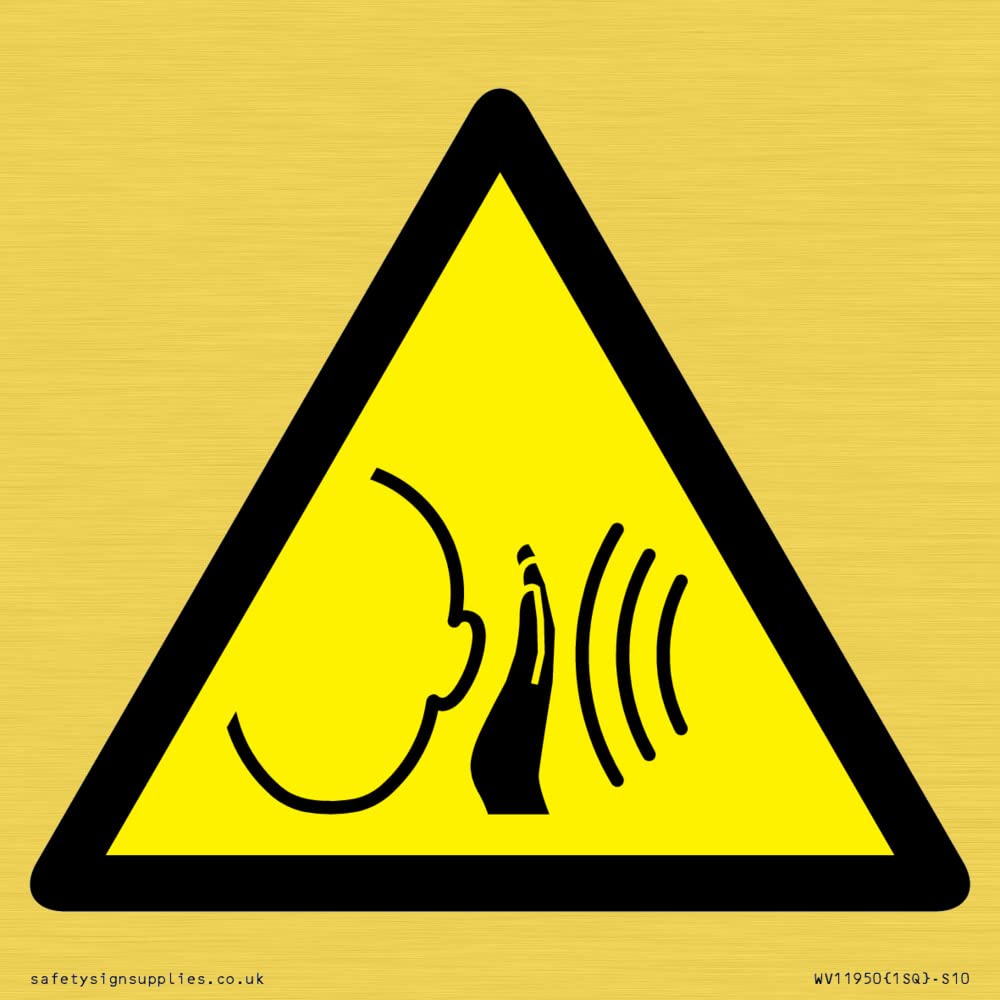 W038 Warning: Sudden loud noise Sign - 100x100mm - S10