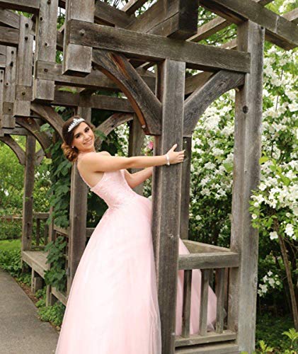 Image of QXMYOO Ball Gown Quinceanera Dresses Sweet 16 Prom Party Princess Dress for Teens