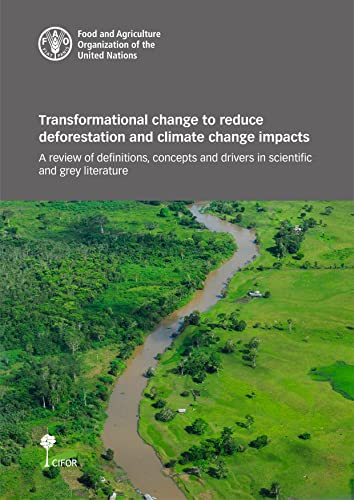 Transformational change to reduce deforestation and climate change impacts: A review of definitions, concepts and drivers in scientific and grey literature