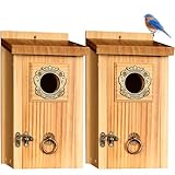 SISTERBIRD Premium Pack of 2 Bluebird Houses for Outside, Garden Bird Houses for Outdoor, Vintage Metal Predator Guard, Birdhouse Gift, Weatherproof Coating Bird Nesting, Assembly Required