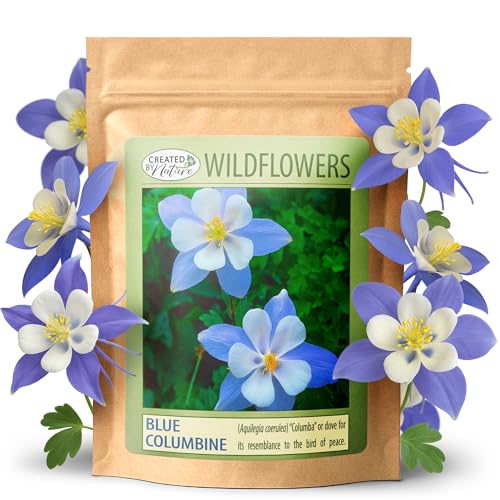 Created By Nature Blue Columbine Flower Seeds, 2,400 Perennial Seeds,