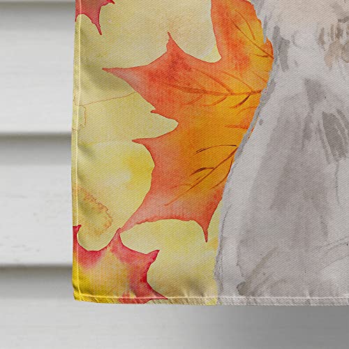 Drapeau de maison Jack Russell en toile de canevas de qualité supérieure - 5