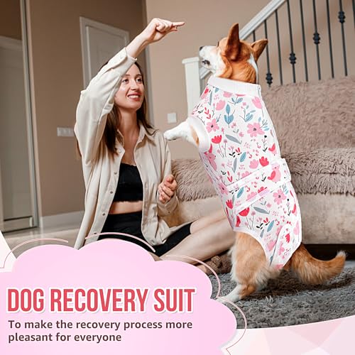 Image of Lukovee Recovery Suit for Dogs, Female Male Spay Neuter Post Surgery Suit | Zipper on Onesie,Soft Breathable, Adjustable Abdominal Wounds Prevent Licking, Cone E-Collar Alternative (Pink, XL)