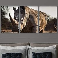 3 Piece Framed Canvas Wall Art Wild Animals Dramatic Hallway Canvas Prints Home Artwork Decoration for Living Room,Bedroom - 16